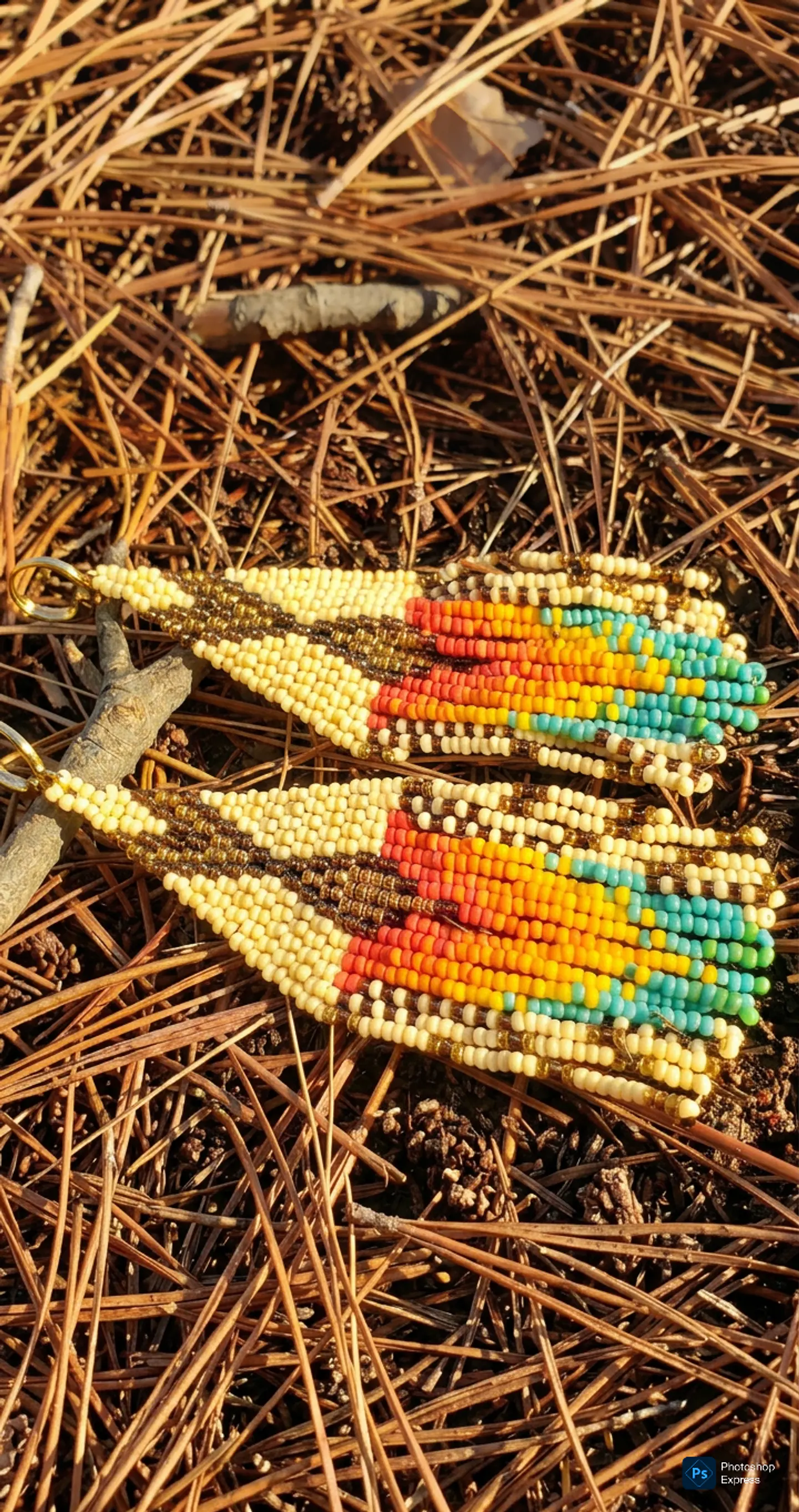 Aros Huichol 1