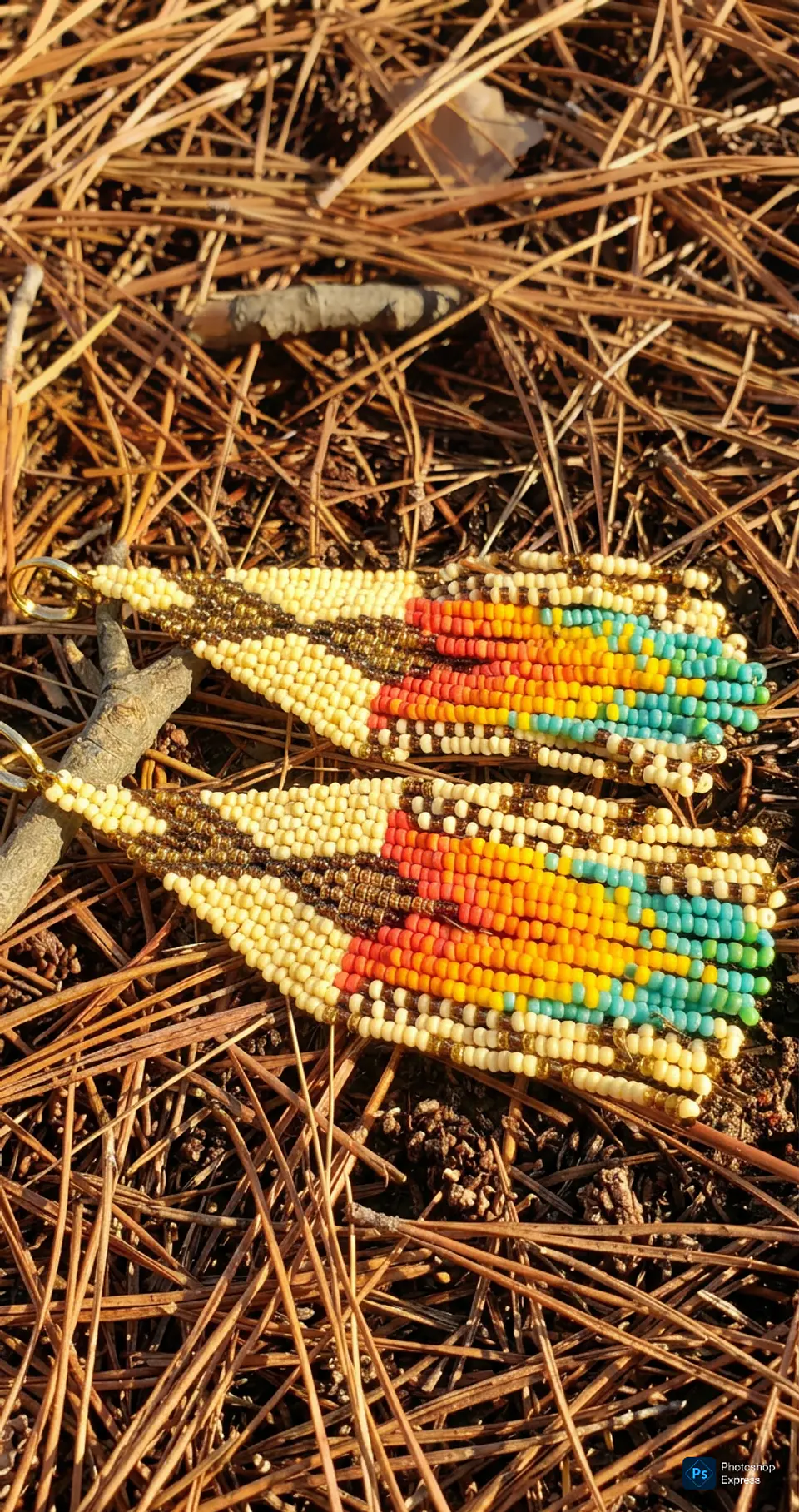 Aros Huichol 1