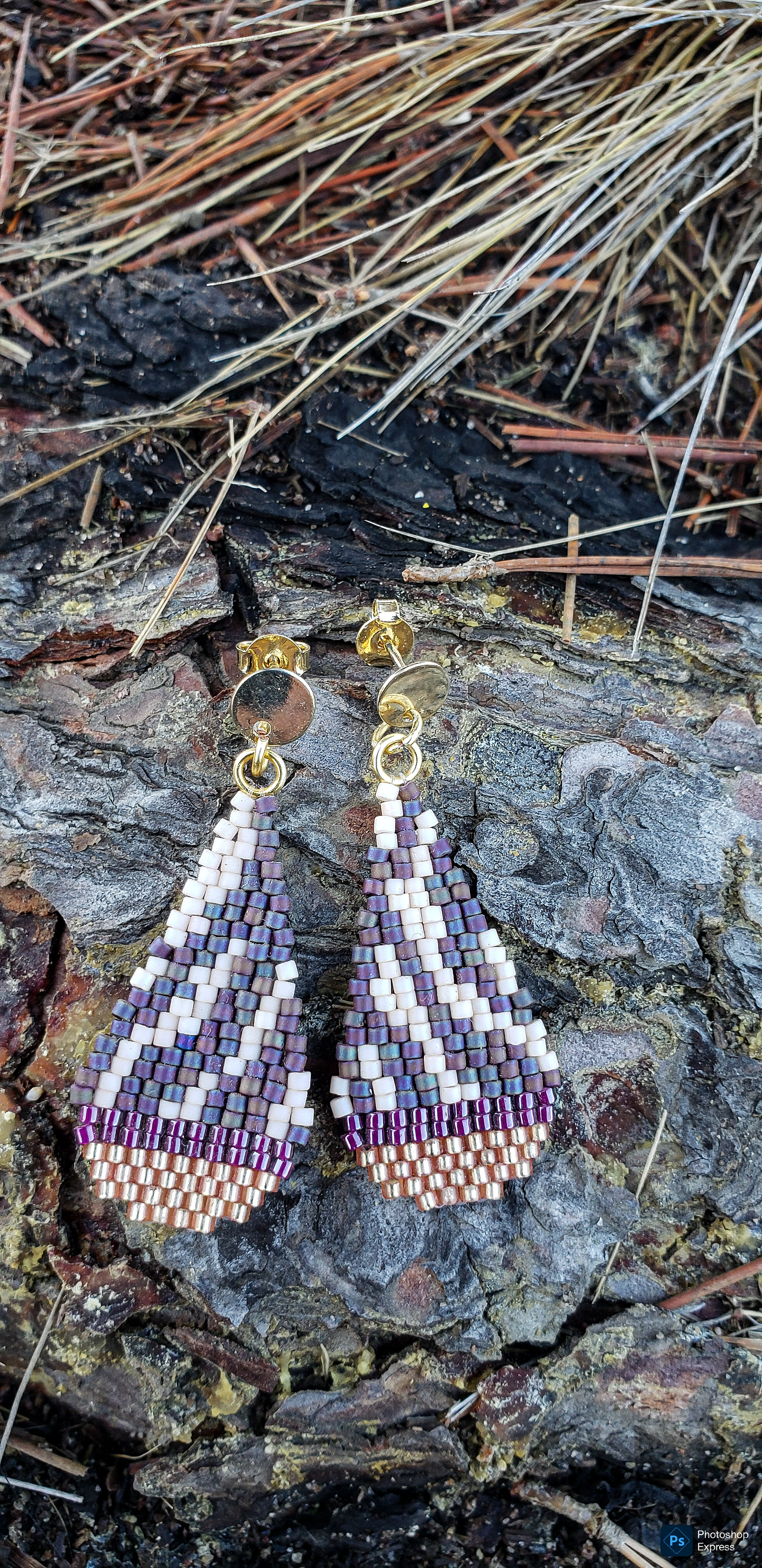 Zebra Pop Morados  1