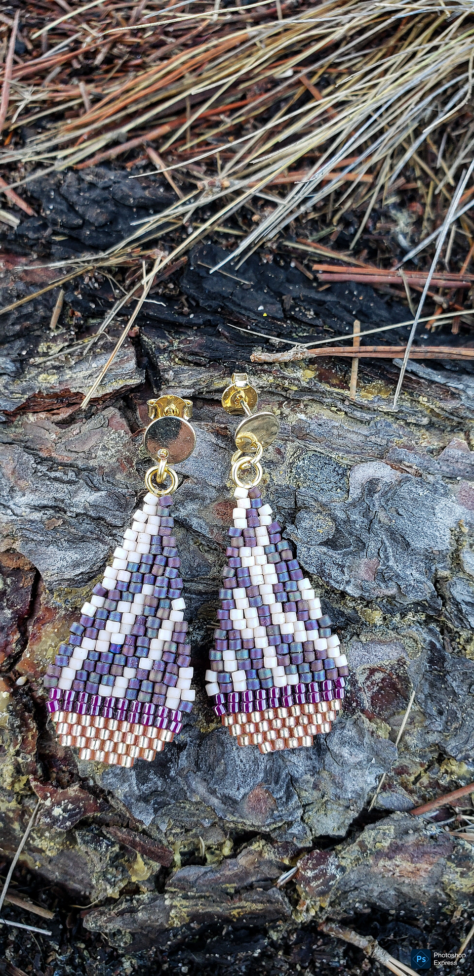 Zebra Pop Morados  1