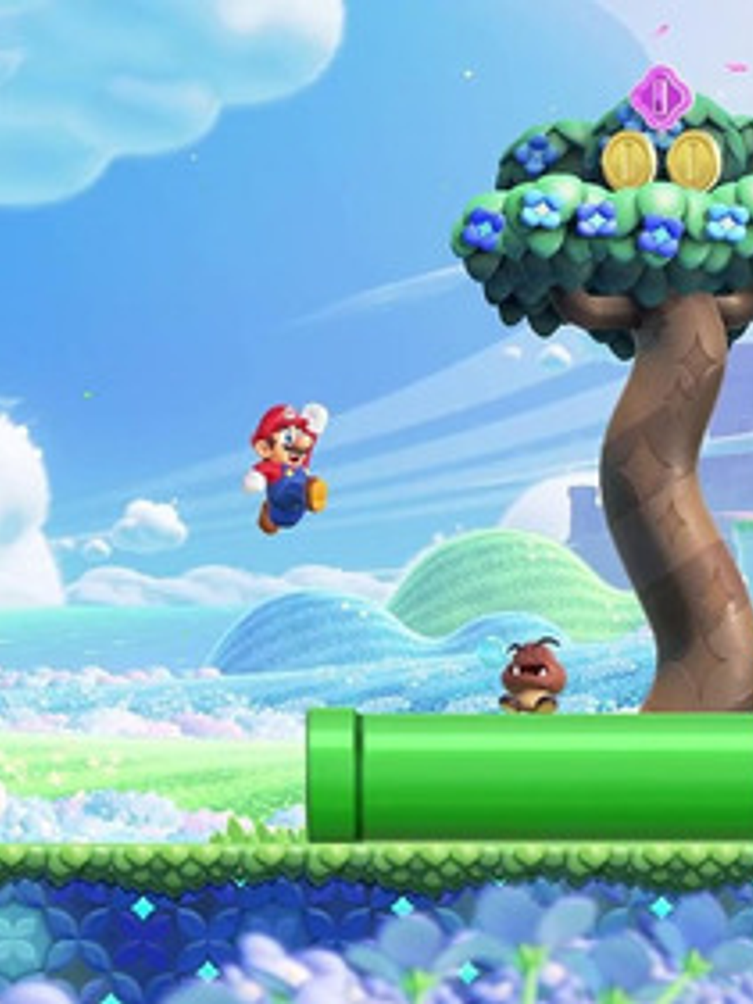 Juego Super Mario Bros Wonder Nintendo Switch Fisico  (china 4