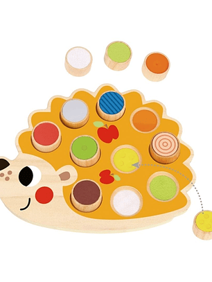 Erizo Sensorial con diferentes Texturas