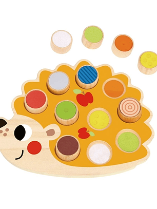 Erizo Sensorial con diferentes Texturas