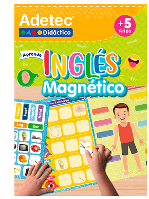 Laminas Aprende Inglés Magnético