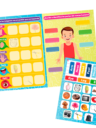 Laminas Aprende Inglés Magnético