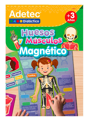 Juego Huesos y Músculos Láminas Magnéticas Interactivas