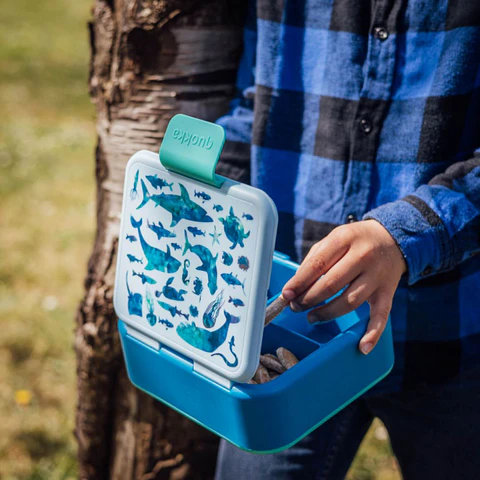 Quokka Sandwicheira Sea Animals