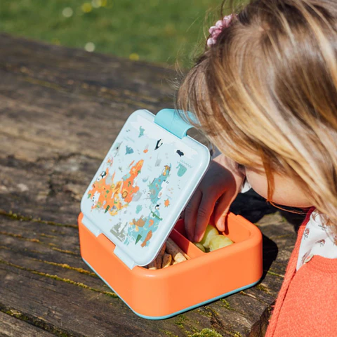 Quokka Sandwicheira Map Of Life