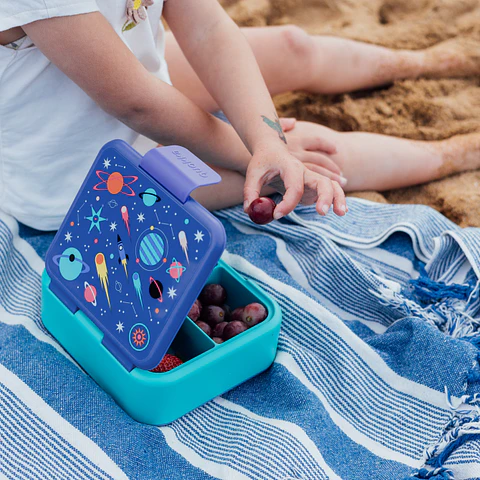 Quokka Sandwicheira Space