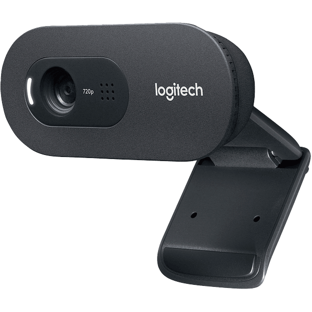 Cámara web Logitech C505 HD 30FPS color negro 2