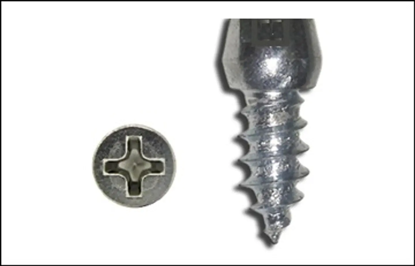 Roscalata Cabeza Barril Ranura Phillips #8 x 3/8