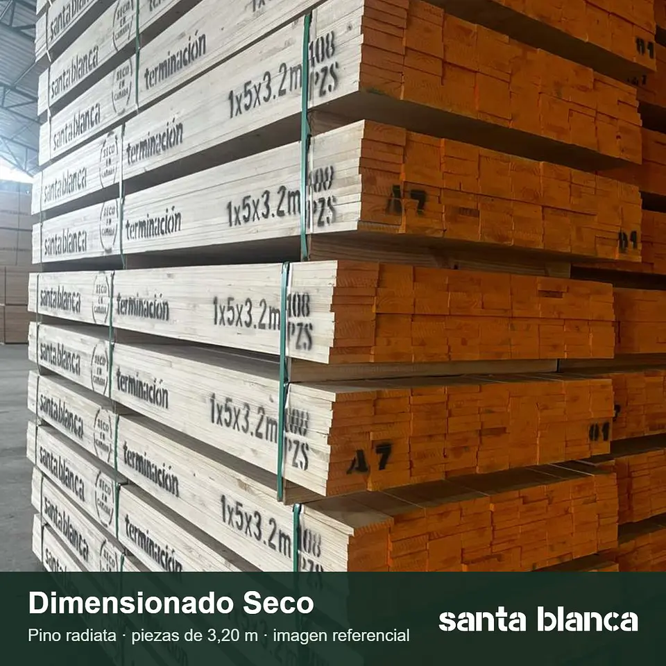 Pino Dimensionado Seco 1