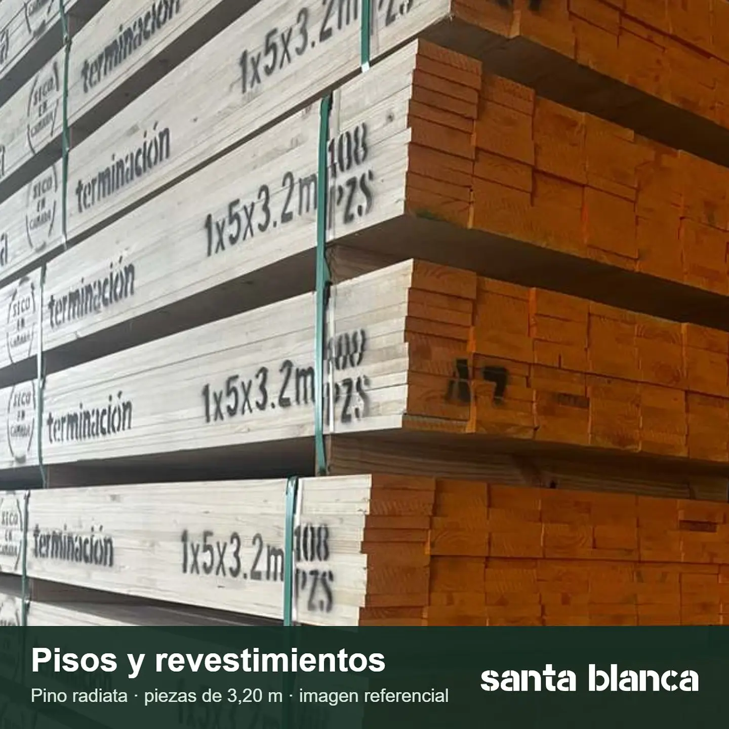 Pino Cielo ½