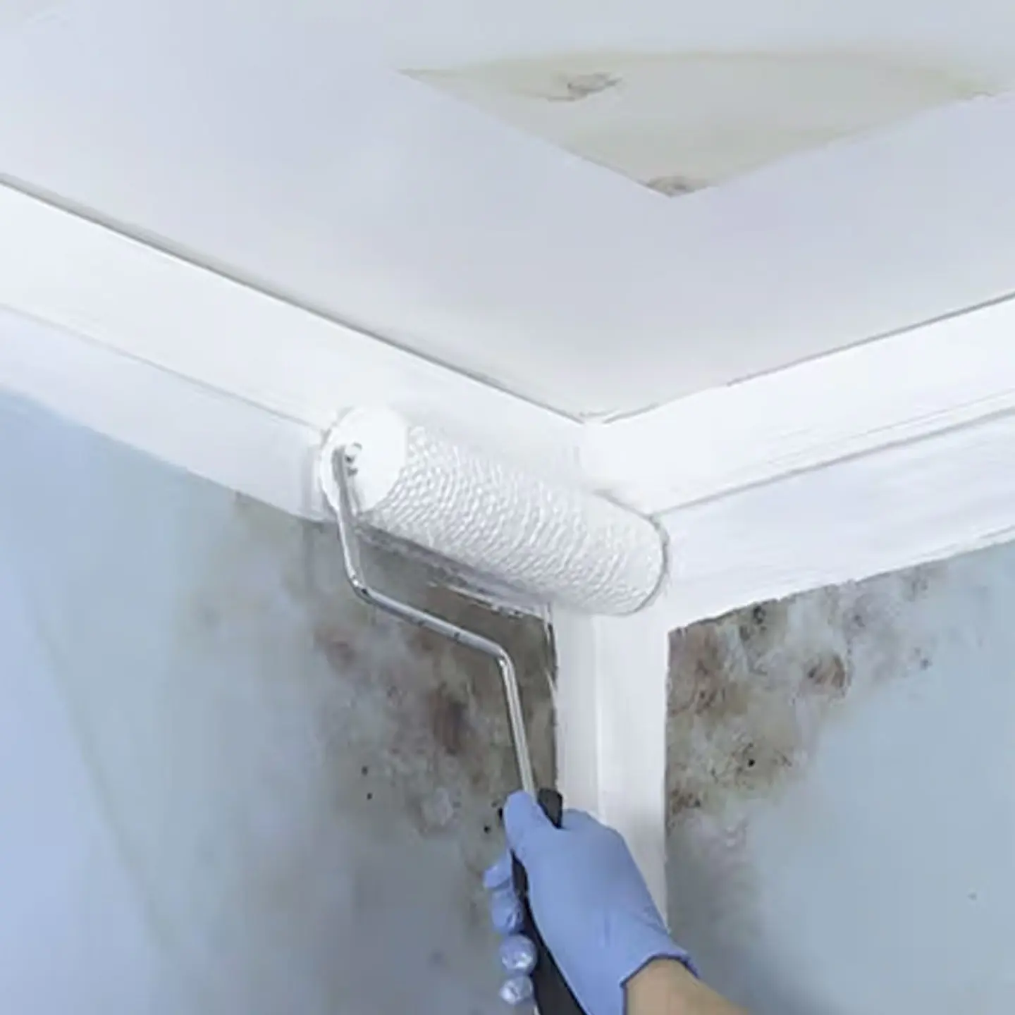Imprimante Antihongos Blanco Mate 946 ml Zinsser Rust-Oleum 4