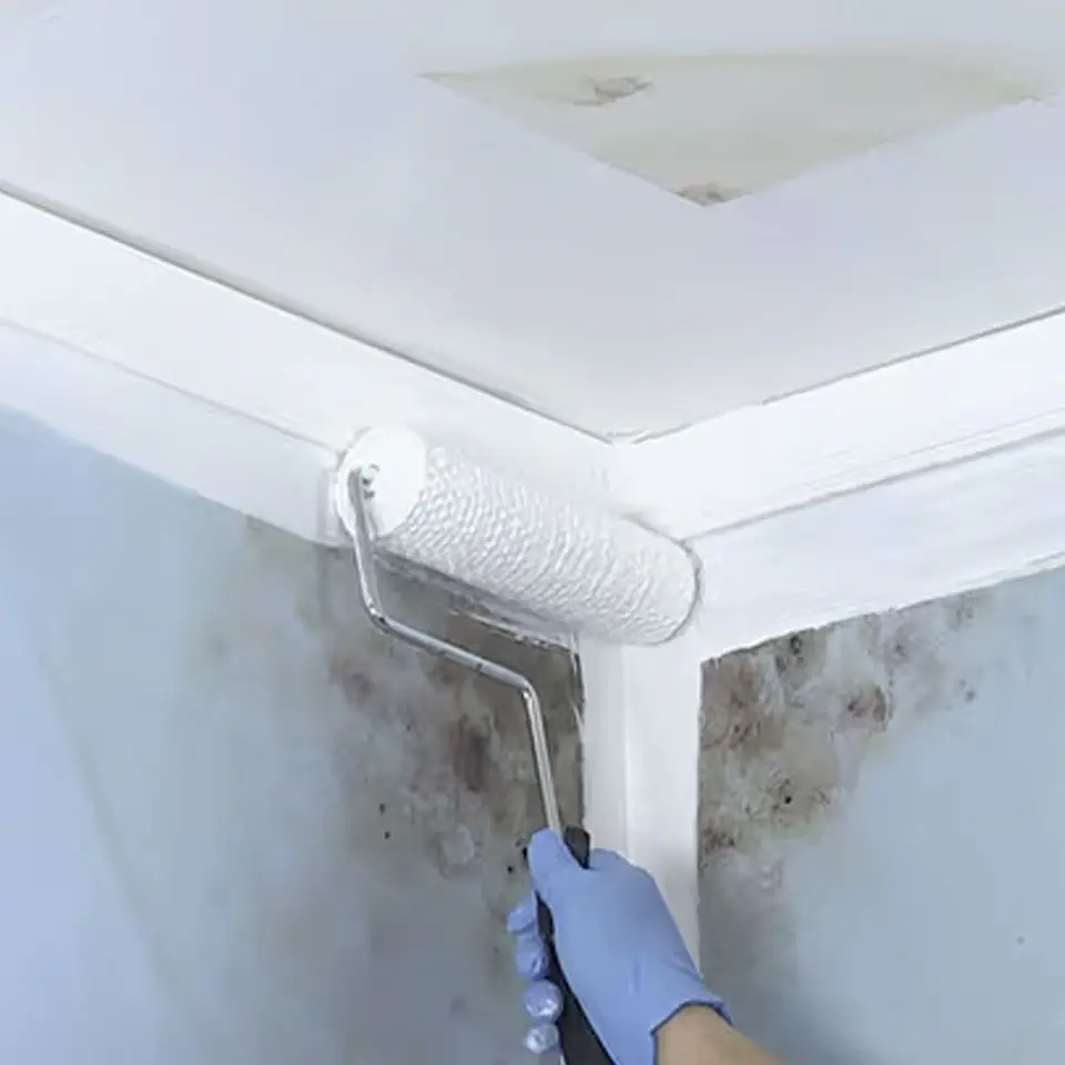 Imprimante Antihongos Blanco Mate 946 ml Zinsser Rust-Oleum 4