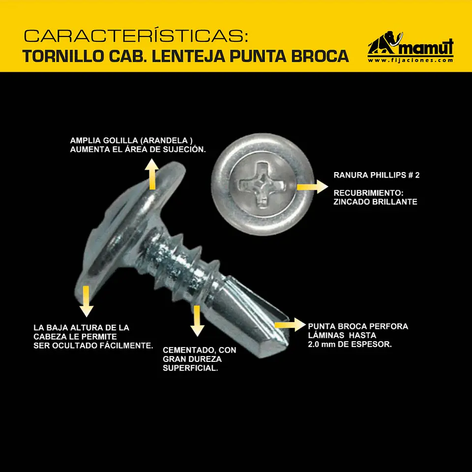 Tornillo Cabeza Lenteja con Golilla Punta Broca #8 x 1