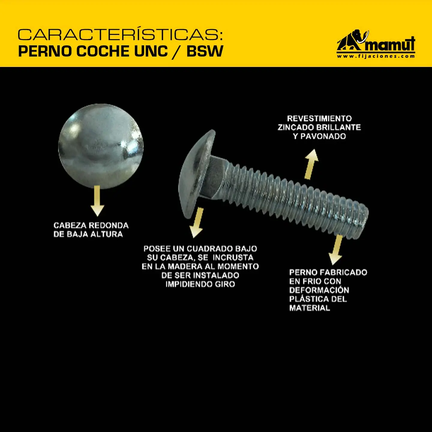 Perno Coche Unc/bsw 1/4-20 x 2
