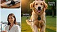 SmartTag Pet: Localizador & Rastreador - Miniatura 1