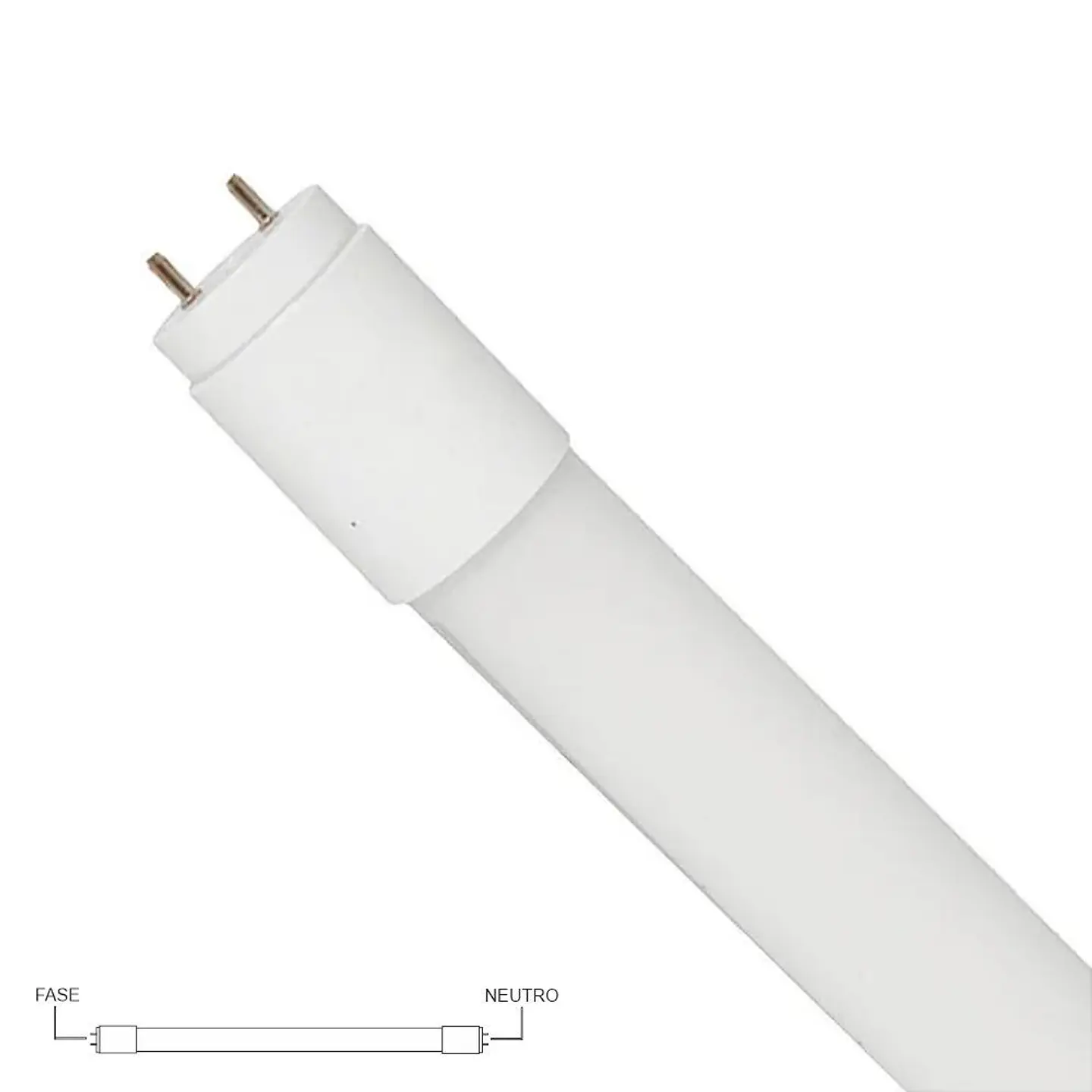 Lâmpada Tubular T8 10W 60cm LED 6500K Fase e Neutro Opostos 1