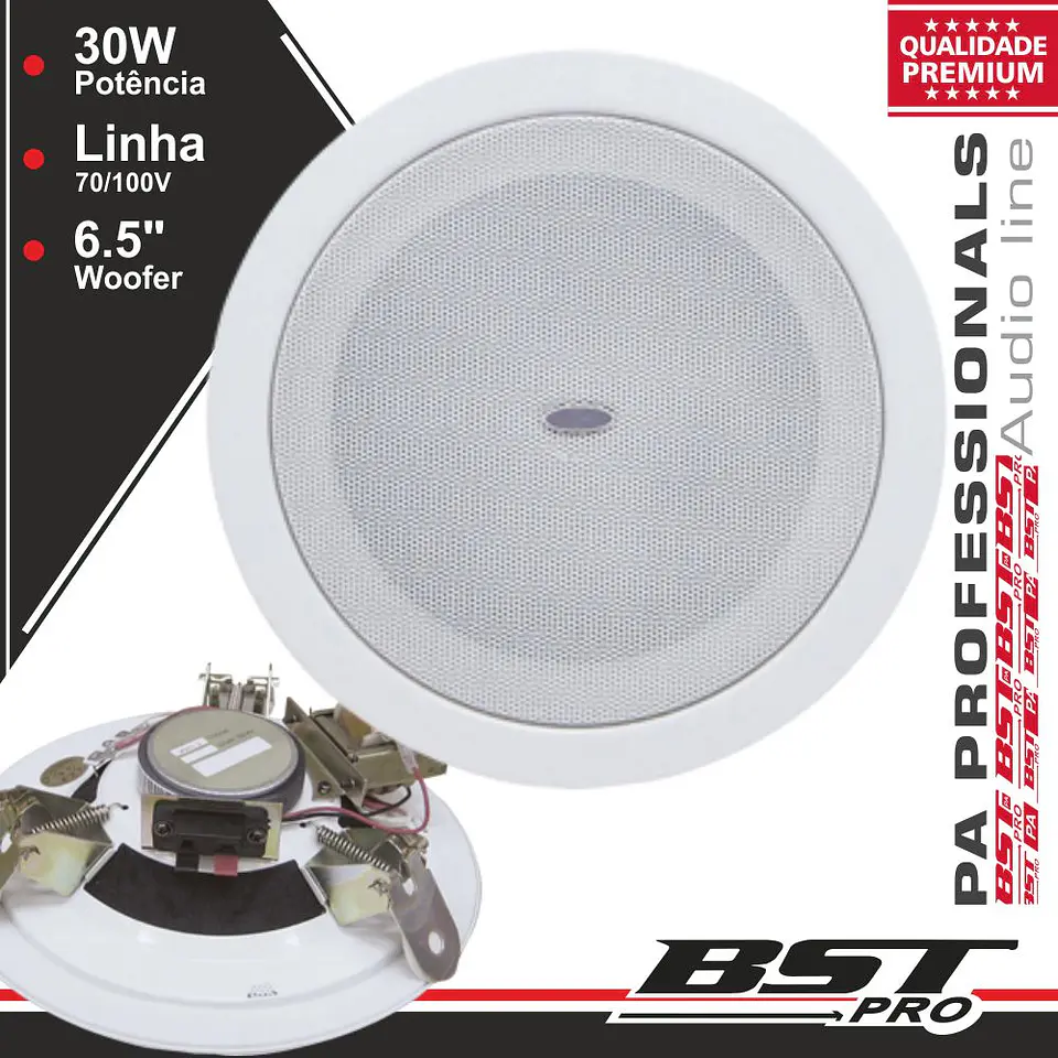 COLUNA DE TECTO PA 100V 6.5