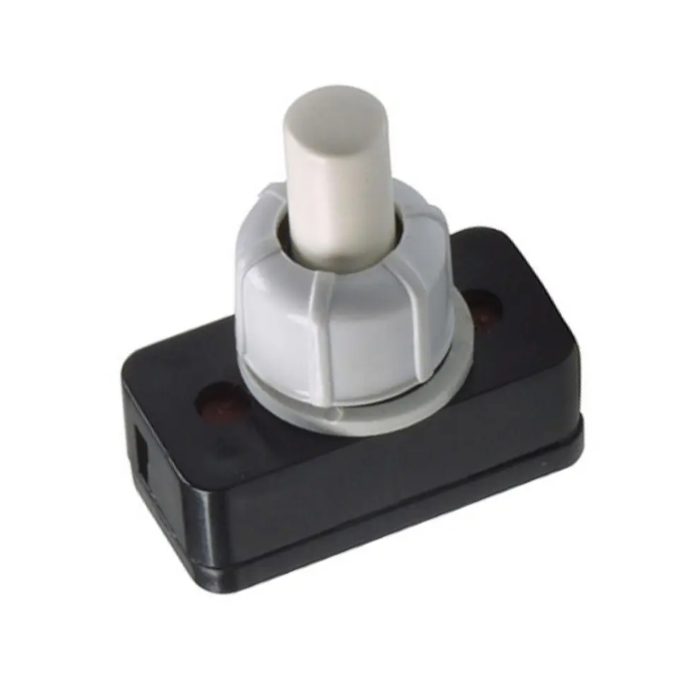 INTERRUPTOR UNIPOLAR ON-OFF 2A-250V 1