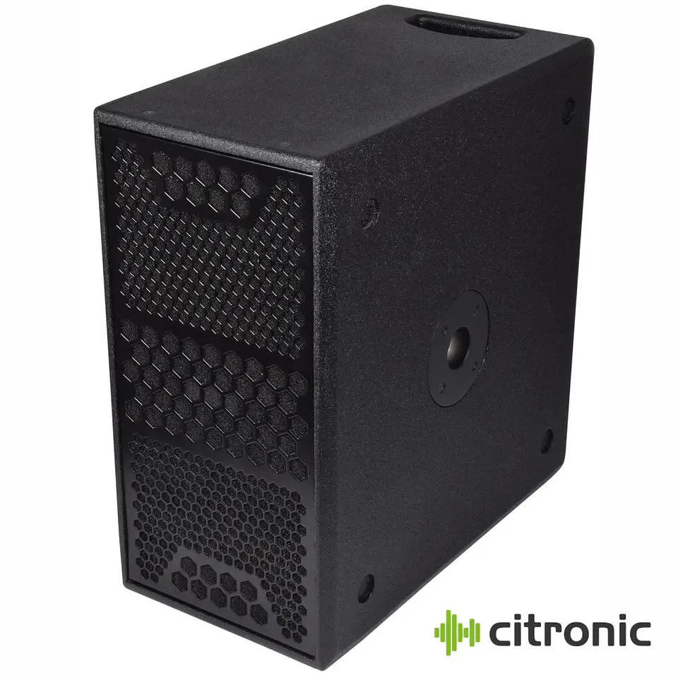 Subwoofer Amplificado Profissional 2x8