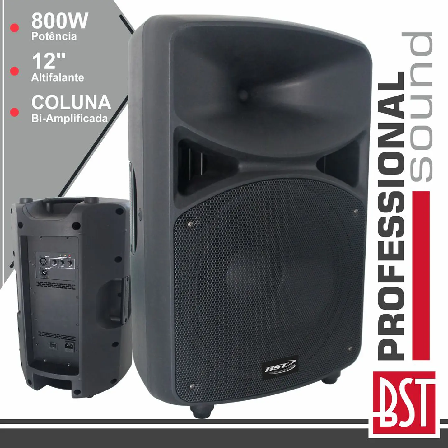 COLUNA BI-AMPLIFICADA PRO 12