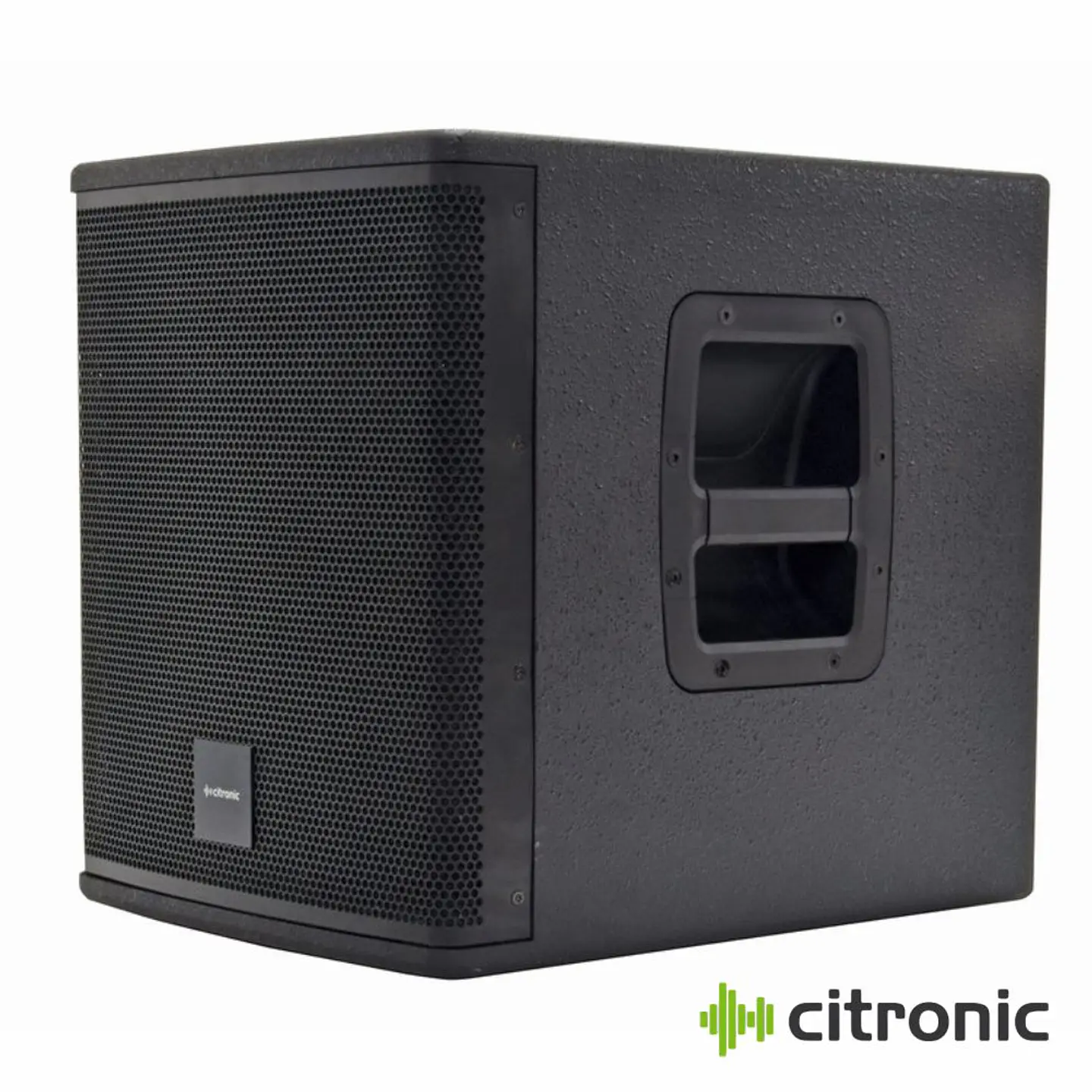 Subwoofer Passivo Profissional 10
