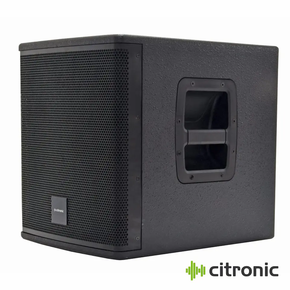 Subwoofer Passivo Profissional 10