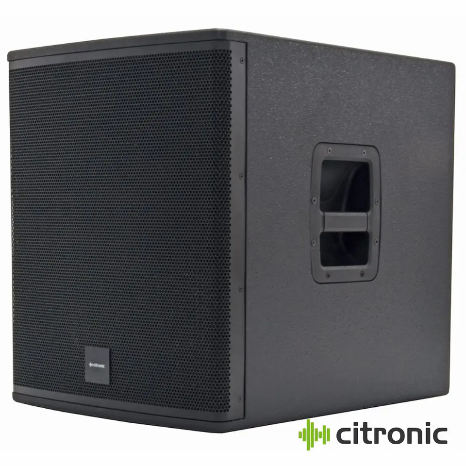 Subwoofer Passivo Profissional 15