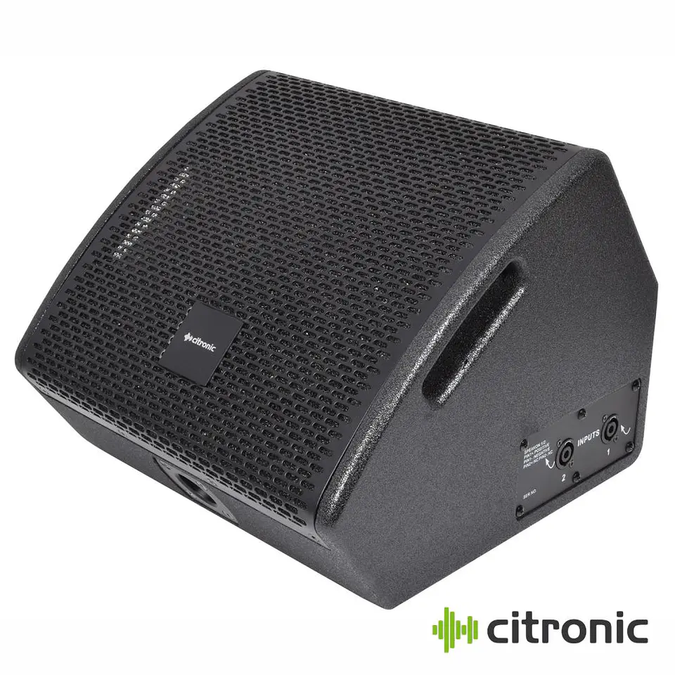 Monitor De Palco Passivo 10