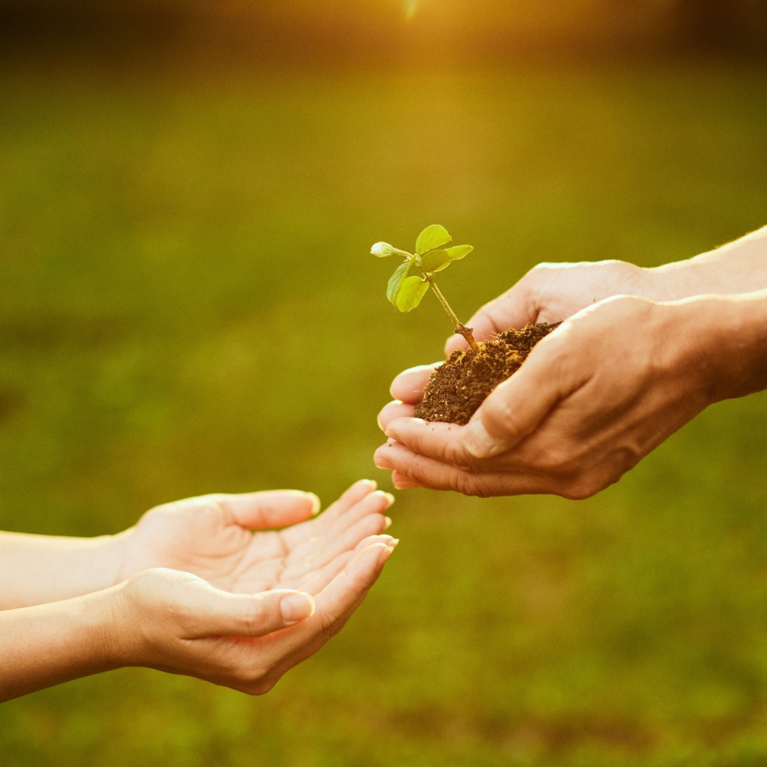 Sostenibilidad SMGraf