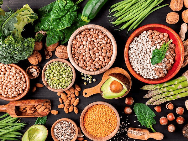 Proteína vegetal en la etapa temprana de la vida