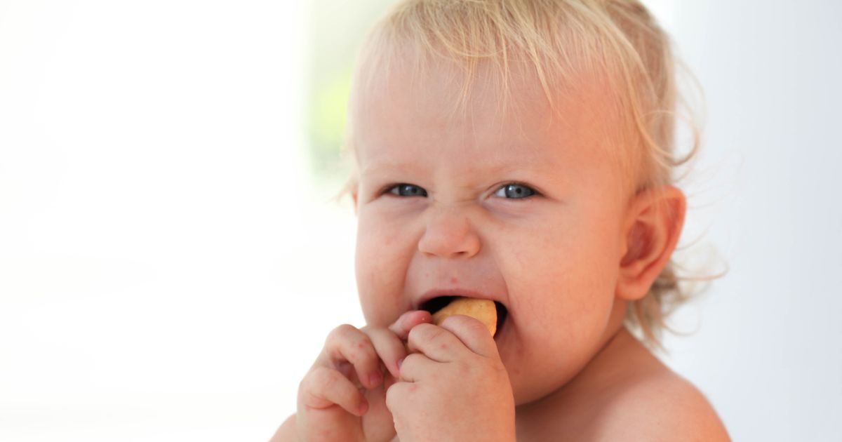 Cómo elegir las mejores galletas de bebé para tu pequeño