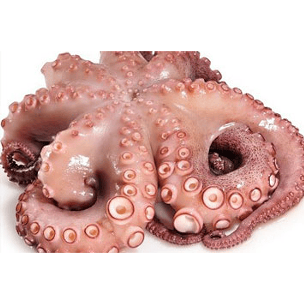 PULPO ENTERO ENVASADO AL VACÍO 
