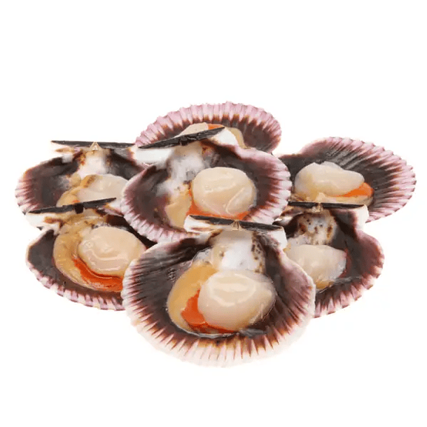 Ostion media concha bolsa de 1 kg. IMPORTADO 