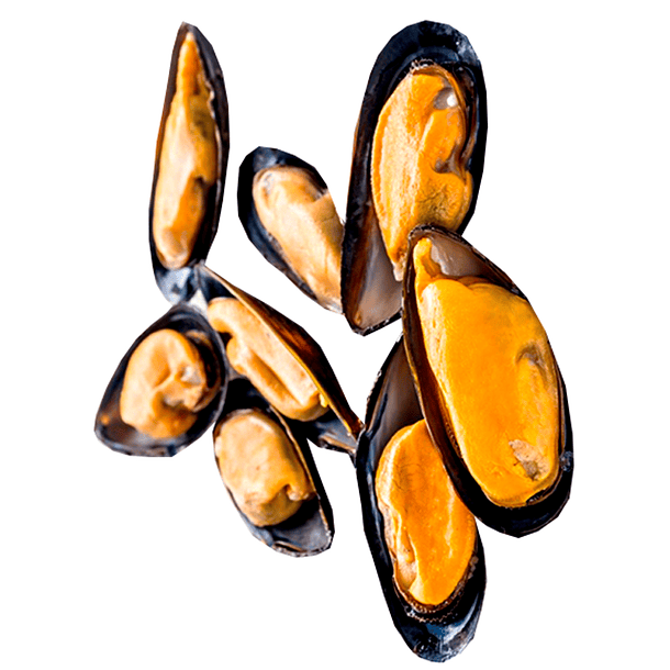 Chorito Jugoson envase 450 grs- con salsas 