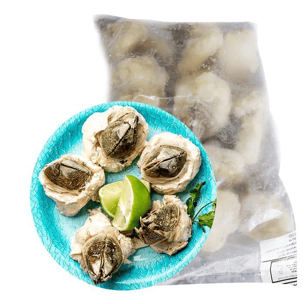 PICOROCO  1 KG SIN CALIBRE 