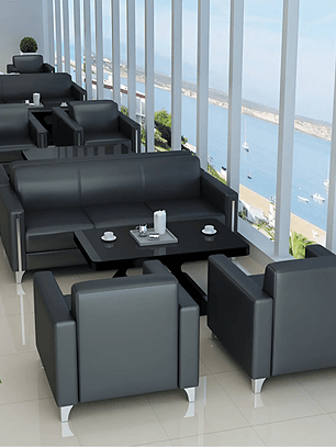 Juego de sofá - Gerencia SFA003