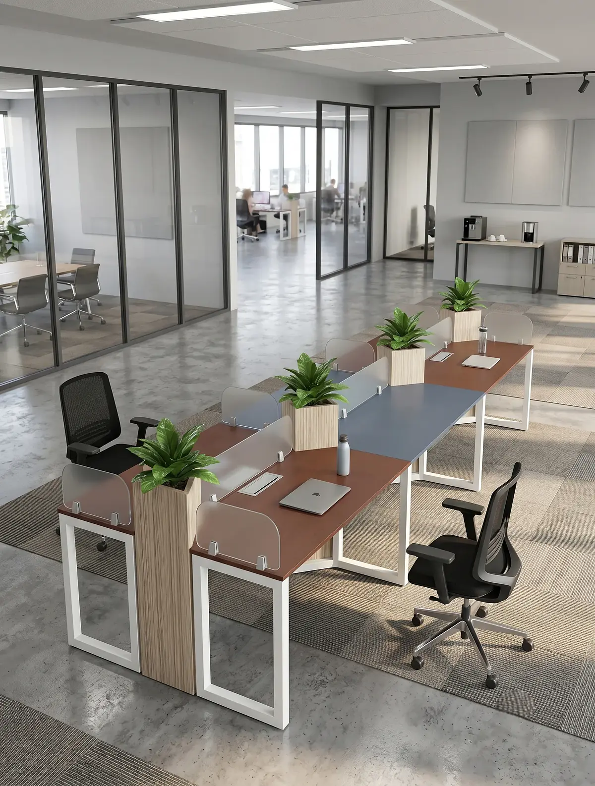 Workspaces Operativos