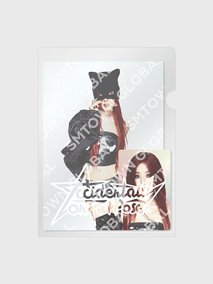 POSTCARD + HOLOGRAM PHOTO CARD SET - SEULGI - The 2nd Mini Album 'Accidentally On Purpose'