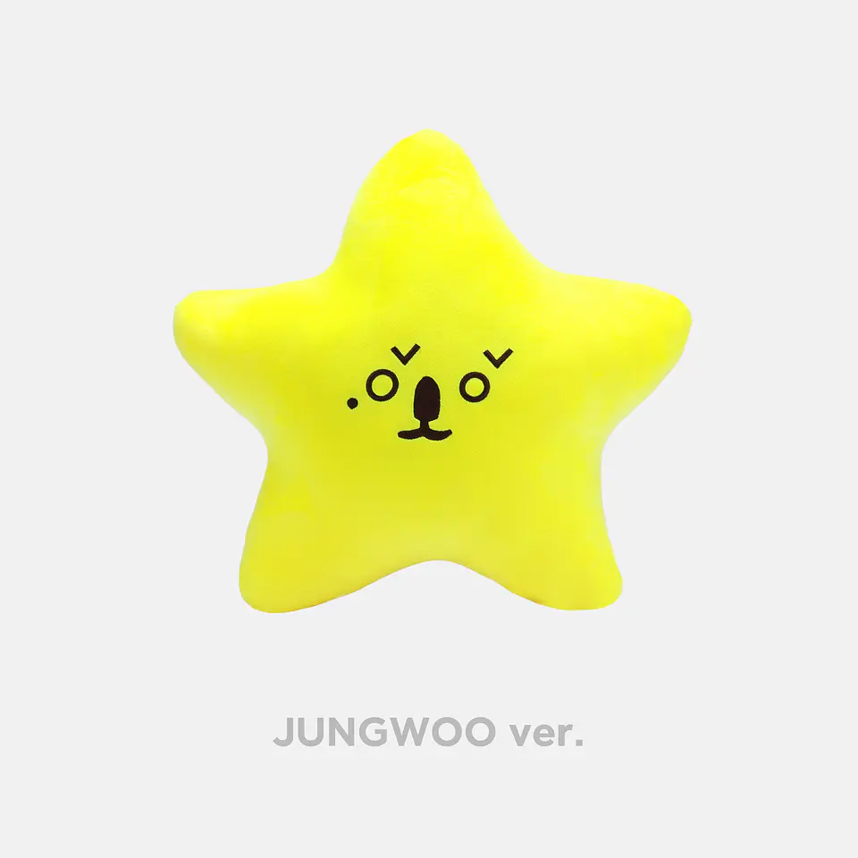 STARFISH CUSHION SET - NCT 127 8th Anniversary MD 12