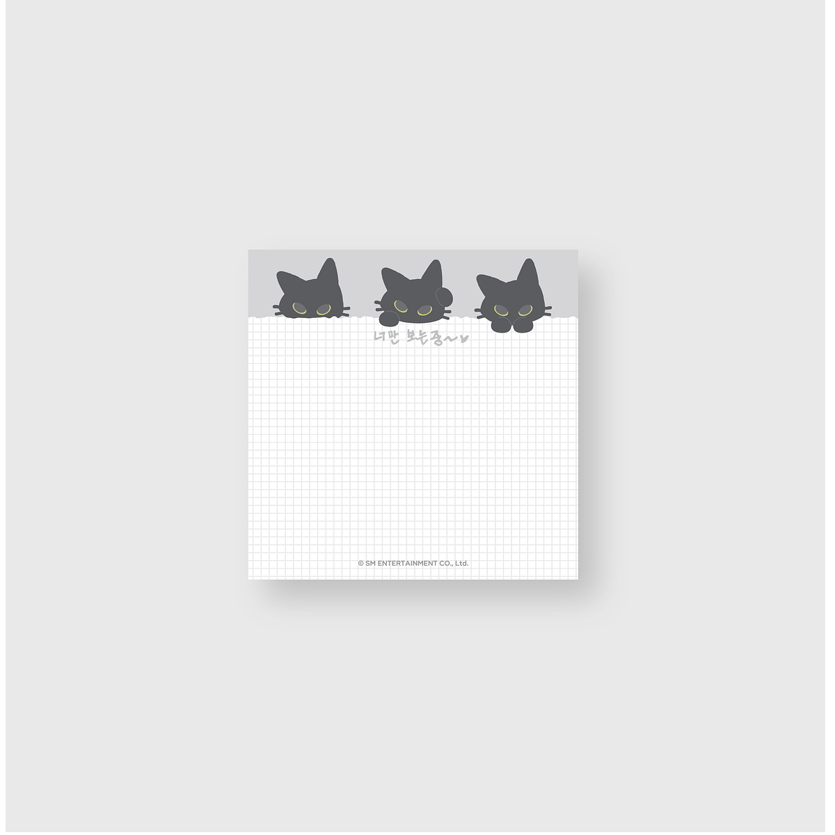 MEMO PAD - 2025 YESUNG CONCERT [We're the Complicated Kind] MD 1