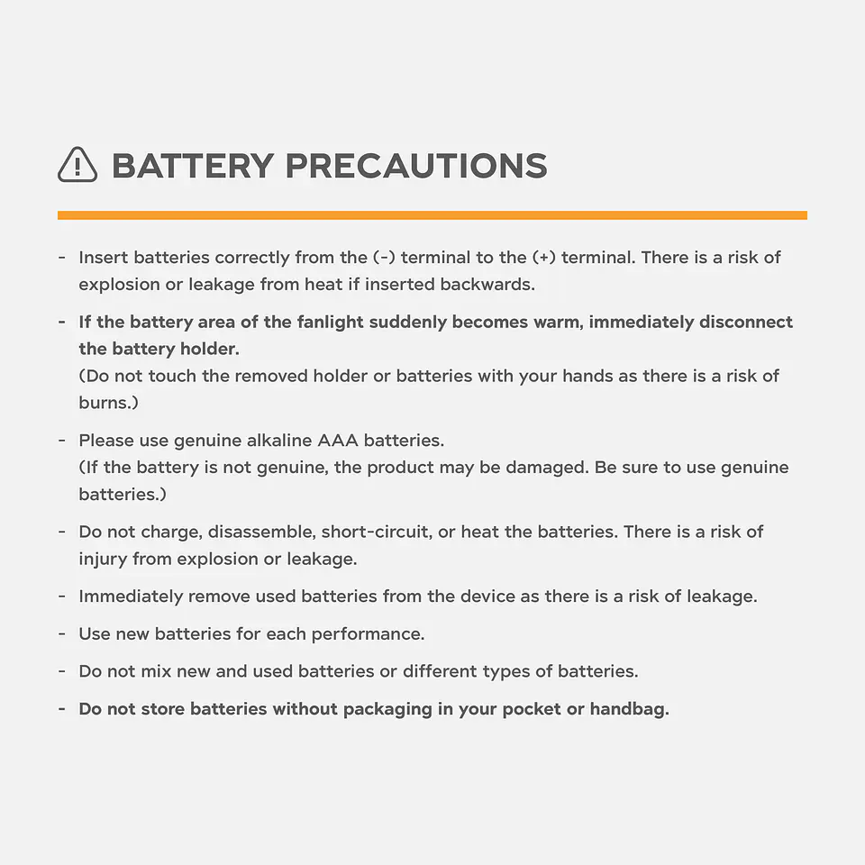 RIIZE Official Fanlight 8