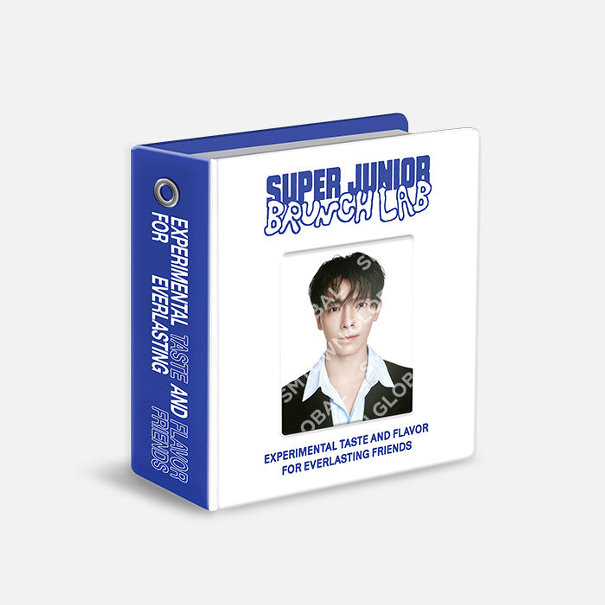 MINI COLLECT BOOK SET - 2025 SM ARTIST SEASON'S GREETINGS MD 1