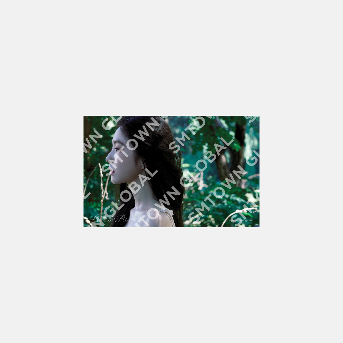 4X6 PHOTO SET - IRENE 'Like A Flower - The 1st Mini Album' MD 4