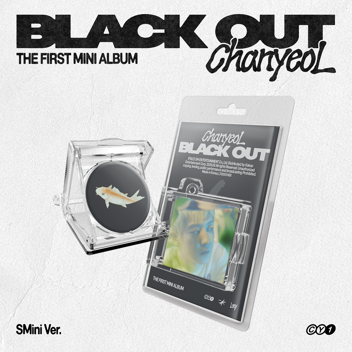 The 1st Mini Album 'Black Out' (SMini Ver.) (SMART ALBUM) 1