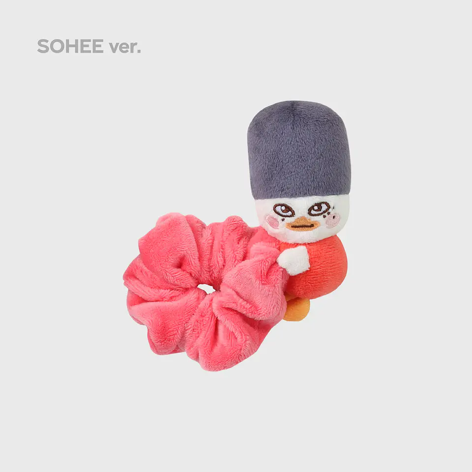 SCRUNCHIE - 2024 RIIZE FAN-CON 'RIIZING DAY' FINALE MD 6