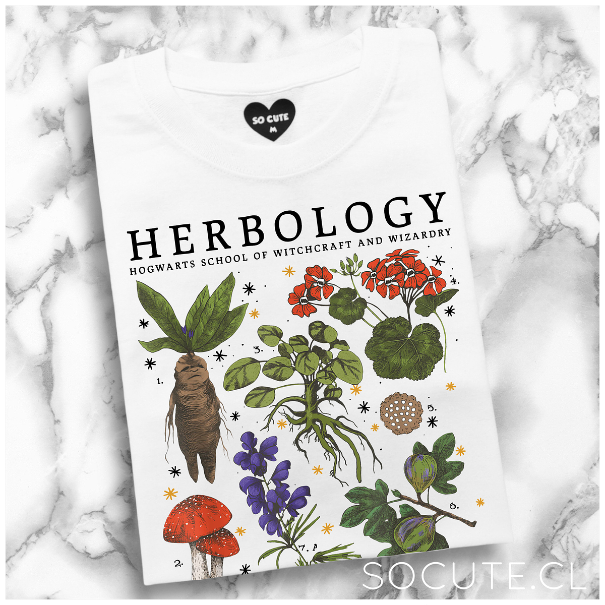POLERA HERBOLOGY