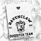 POLERA RAVENCLAW QUIDDITCH - thumbnail 1
